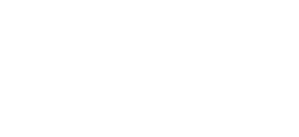 uefa partner