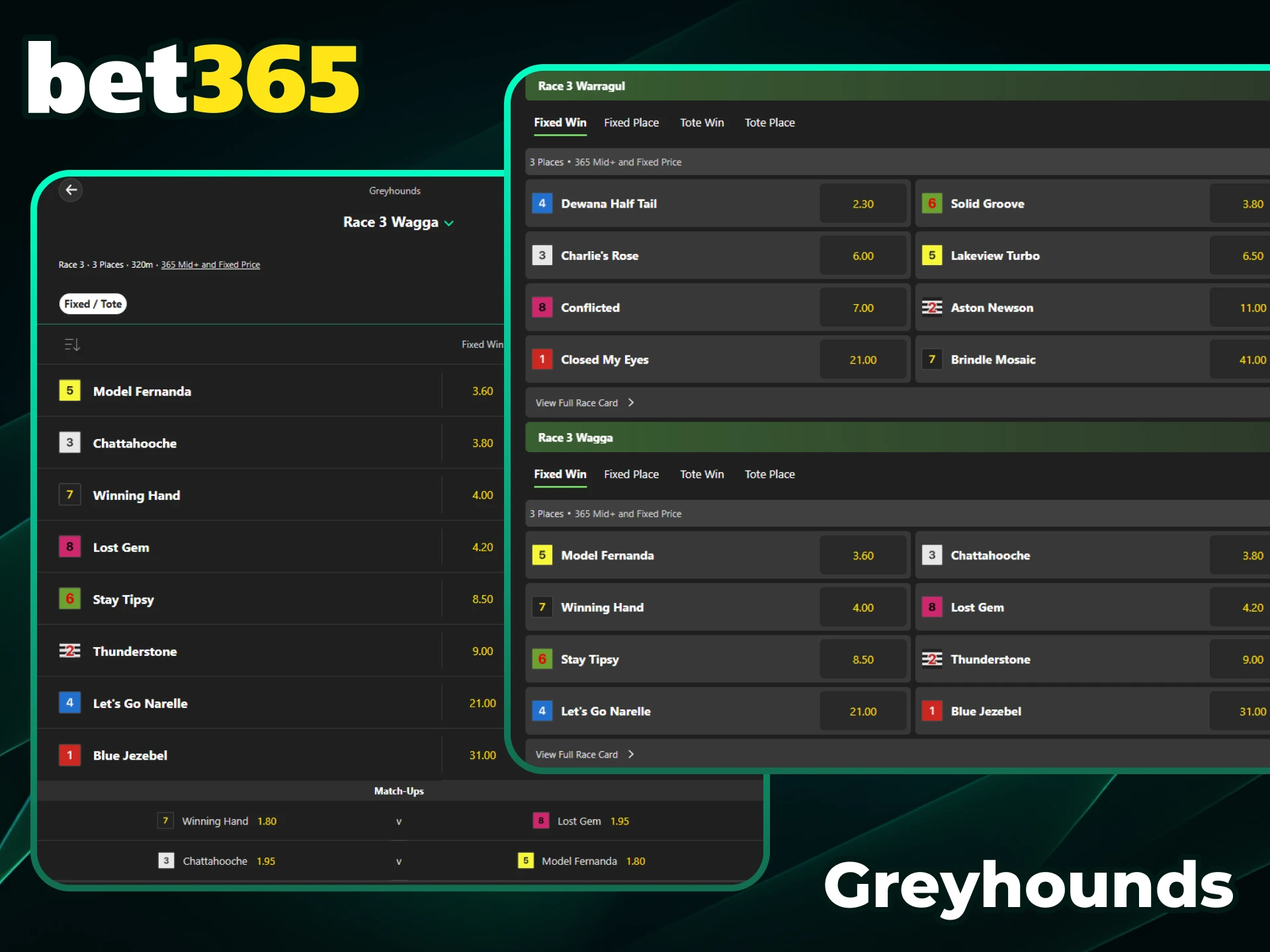 Bet on live greyhound races on the official Bet365 platform.